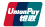 union-pay-icon